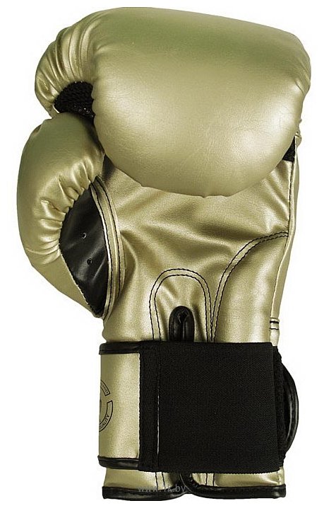 Фотографии Venum Challenger Boxing Gloves