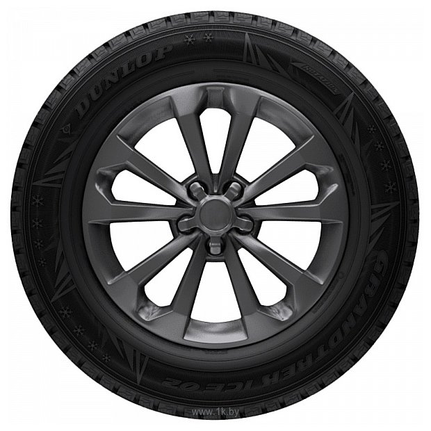 Фотографии Dunlop Grandtrek Ice02 315/35 R20 110T (шипы)