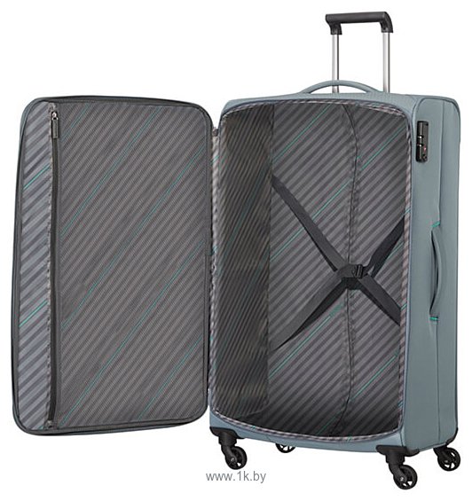 Фотографии American Tourister Sunny South Grey 79 см