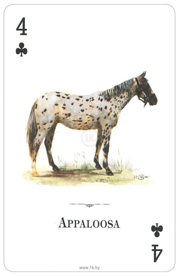 Фотографии US Games Systems Horses of the Natural World Playing Cards HWC54