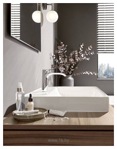 Фотографии Hansgrohe Vivenis 75022000