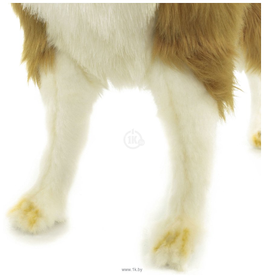 Фотографии Hansa Сreation Собака сибирский хаски 6494 (50 см)