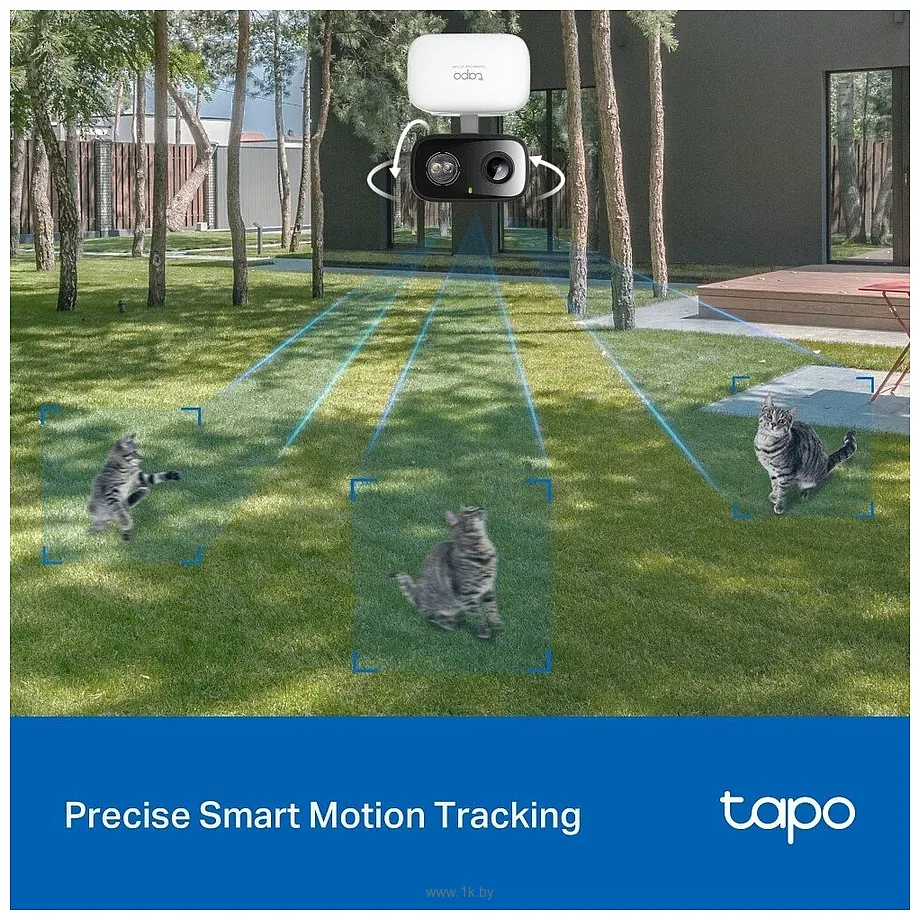 Фотографии TP-Link Tapo C216