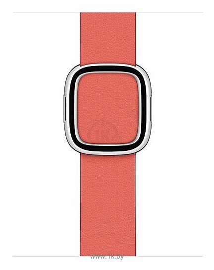 Фотографии Apple Watch Series 6 GPS + Cellular 40mm Stainless Steel Case with Modern Buckle