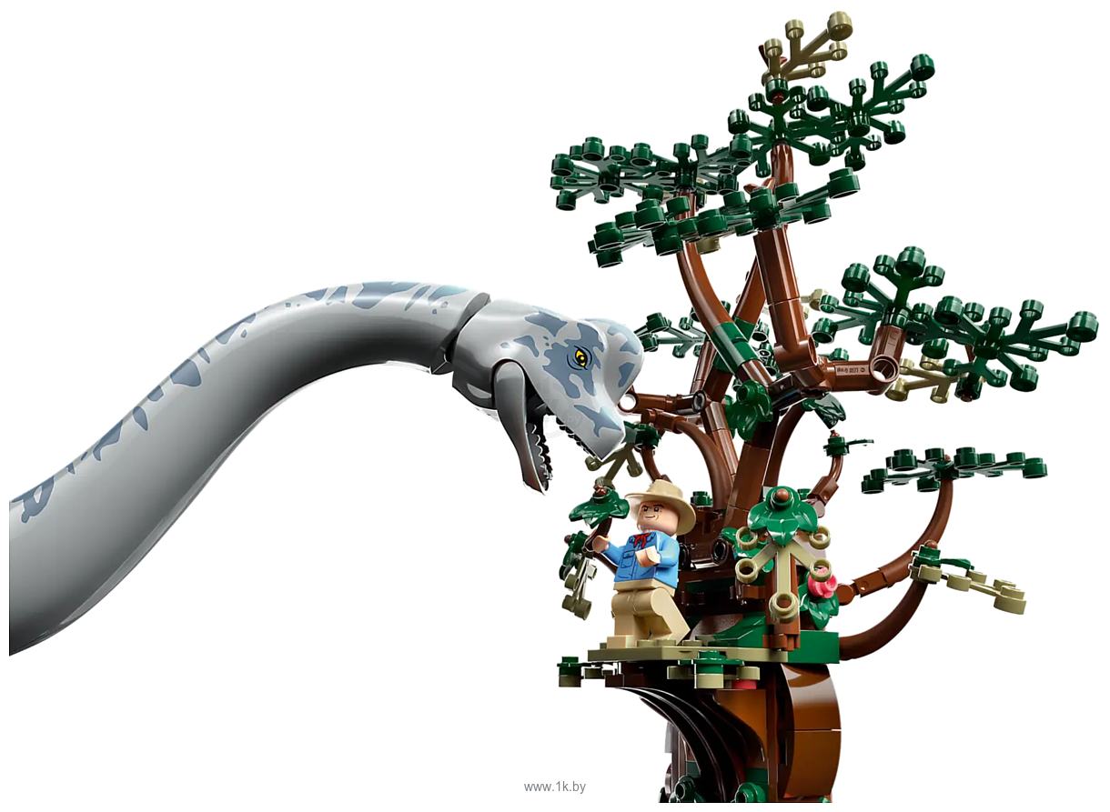 Фотографии LEGO Jurassic World 76960 Встреча с Брахиозавром