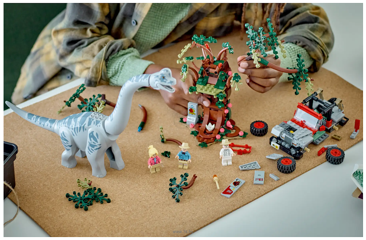 Фотографии LEGO Jurassic World 76960 Встреча с Брахиозавром