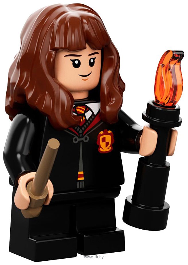 Фотографии LEGO Harry Potter 76387 Хогвартс: пушистая встреча