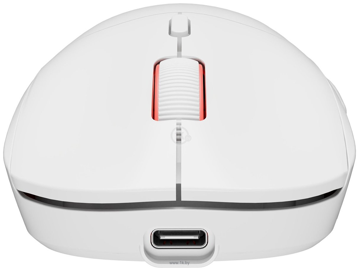 Фотографии Genesis Zircon XIII Custom white