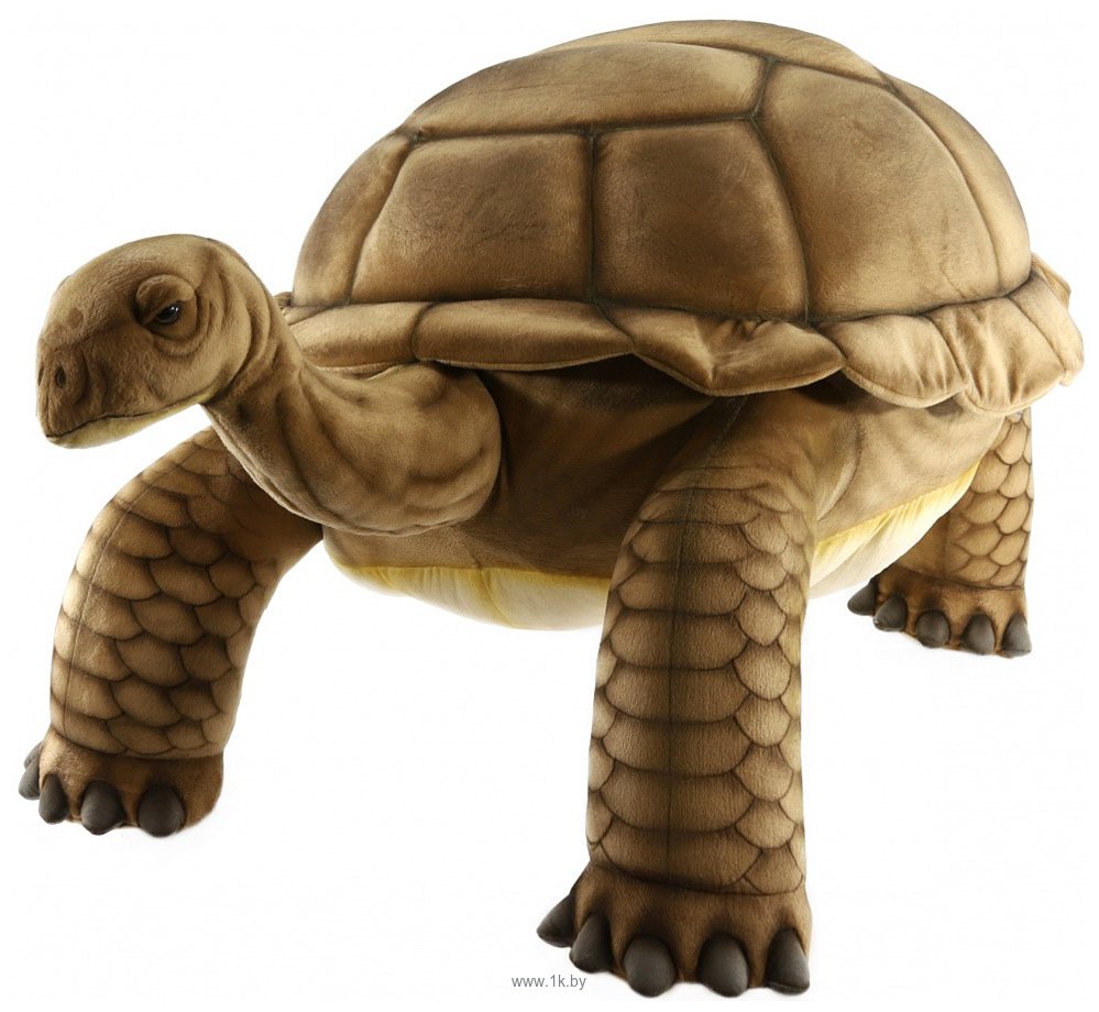 Фотографии Hansa Сreation Галапагосская черепаха 6469 (145 см)