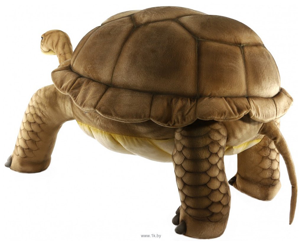 Фотографии Hansa Сreation Галапагосская черепаха 6469 (145 см)