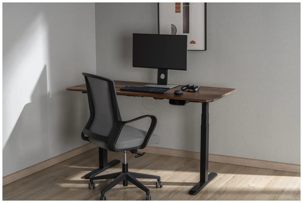 Фотографии ErgoSmart Ergo Desk Prime 1360x800x36 мм (альпийский белый/черный)