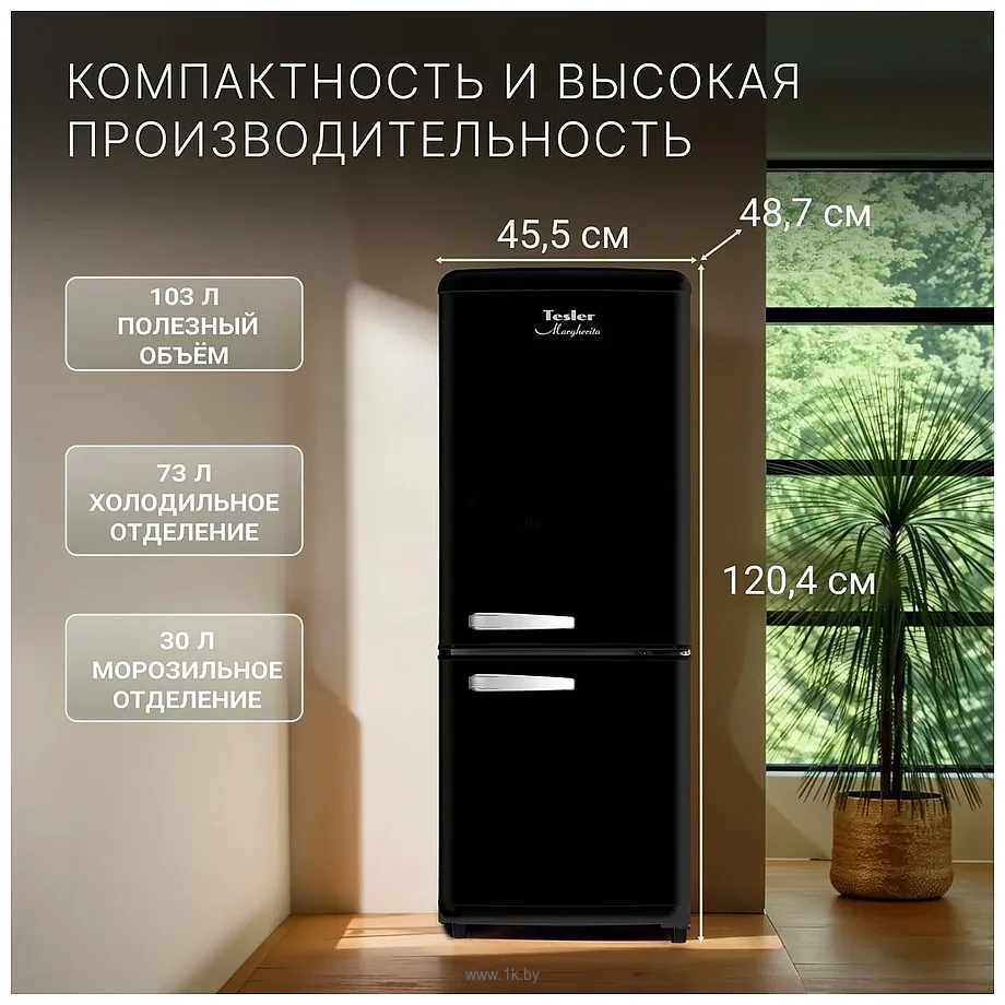Фотографии Tesler RB-107 (черный) Фотографии Tesler RB-107 (черный)