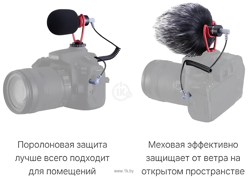 Фотографии RayLab Rec MiniMic RLCDMM