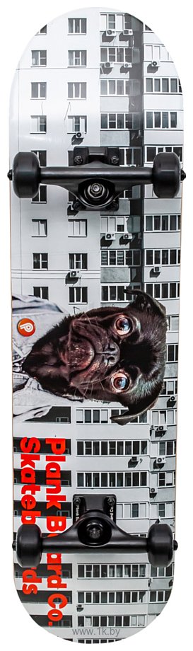 Фотографии Plank Pug P22-SKATE-PUG