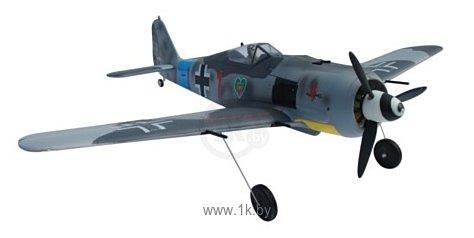 Фотографии FMS miniI FW190 Focke-Wulf FMS047R