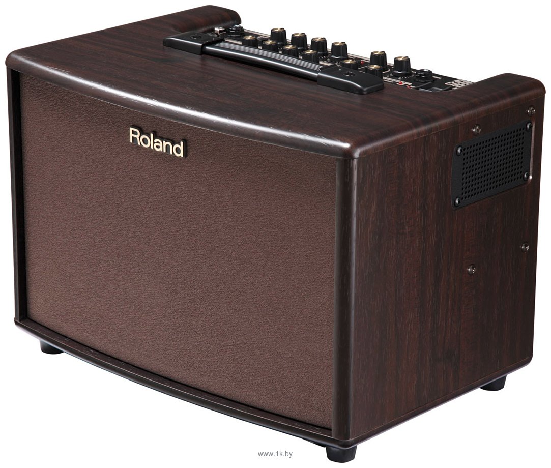 Фотографии Roland AC-60