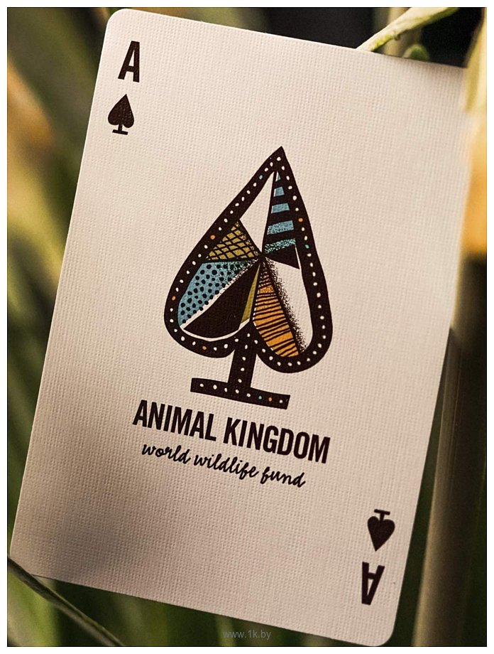 Фотографии Theory11 Animal Kingdom T1122
