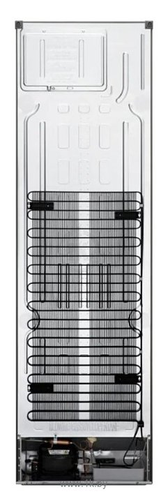 Фотографии LG DoorCooling+ GA-B509MMZL