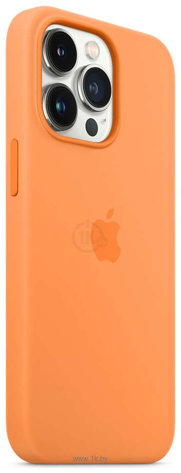 Фотографии Apple MagSafe Silicone Case для iPhone 13 Pro (весенняя мимоза)