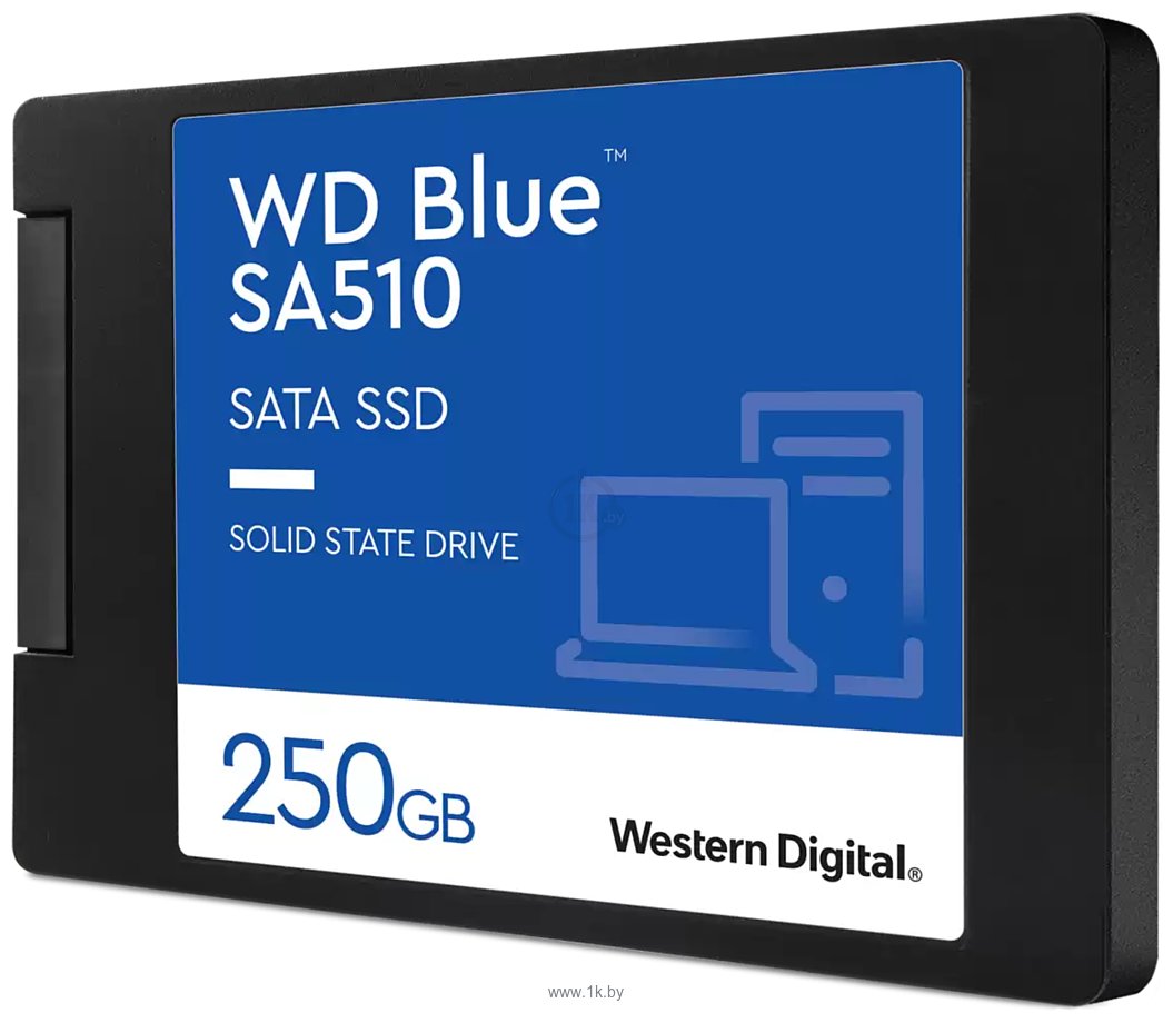 Фотографии Western Digital Blue SA510 250GB WDS250G3B0A