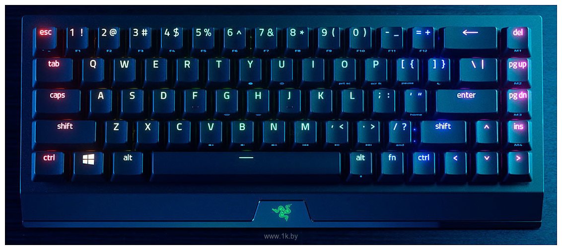 Фотографии Razer blackwidow V3 Mini HyperSpeed Green Switch