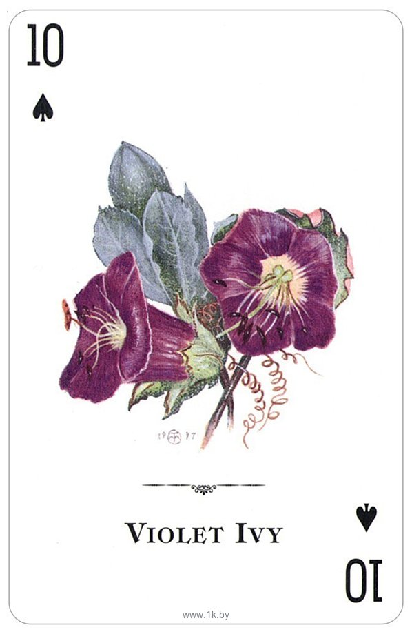 Фотографии US Games Systems Wildflowers of the Natural World Playing Cards WFC54