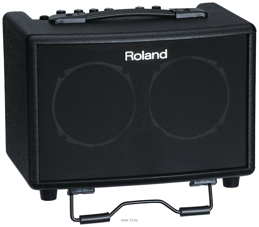 Фотографии Roland AC-33