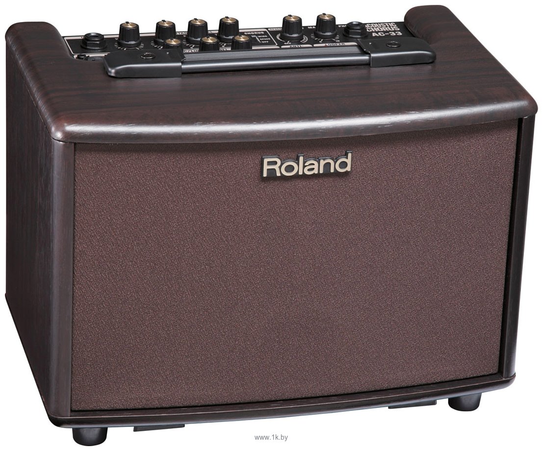 Фотографии Roland AC-33