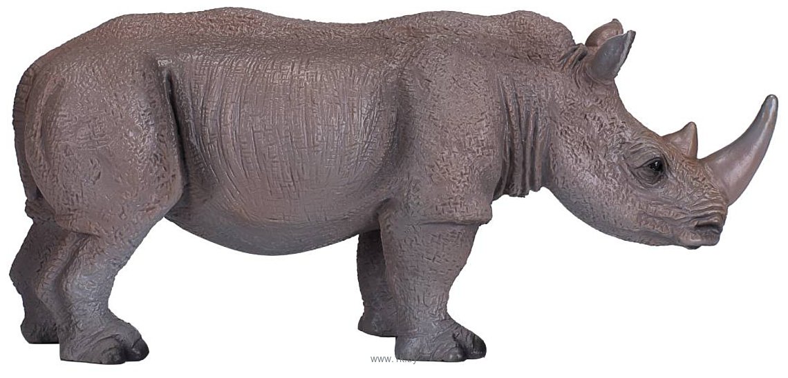 Фотографии Konik Белый носорог AMW2049