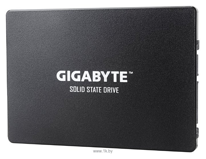 Фотографии GIGABYTE SSD 256GB (GP-GSTFS31256GTND)