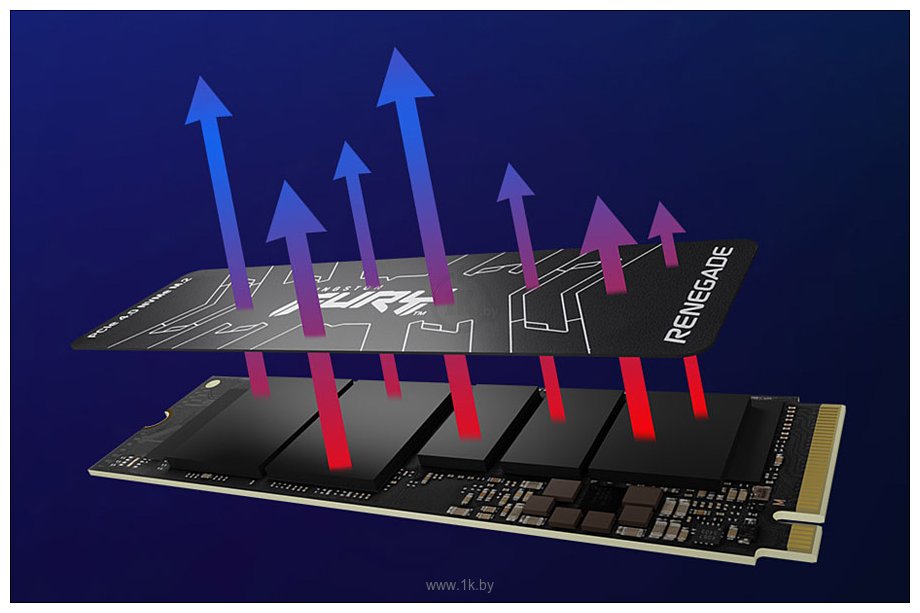 Фотографии Kingston Fury Renegade 4TB SFYRD/4000G