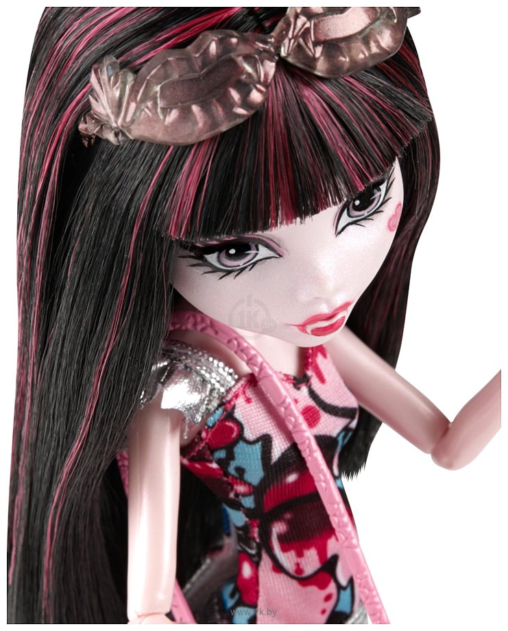 Фотографии Monster High Дракулаура (CHW55)