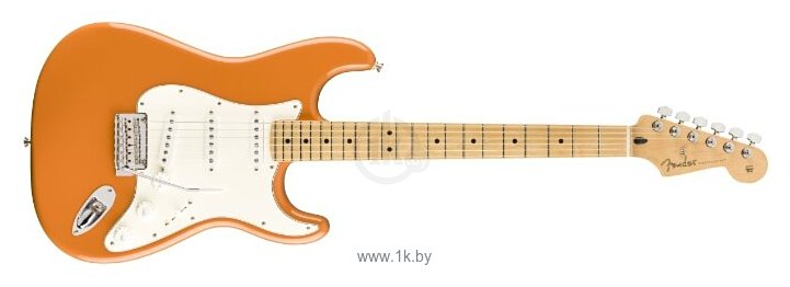 Фотографии Fender Player Stratocaster Maple