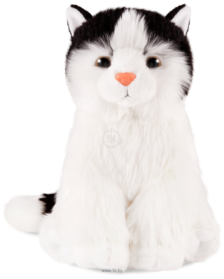 Фотографии Maxitoys Maxi Life Белый котик с черной мордочкой ML-SO-130222-25-17