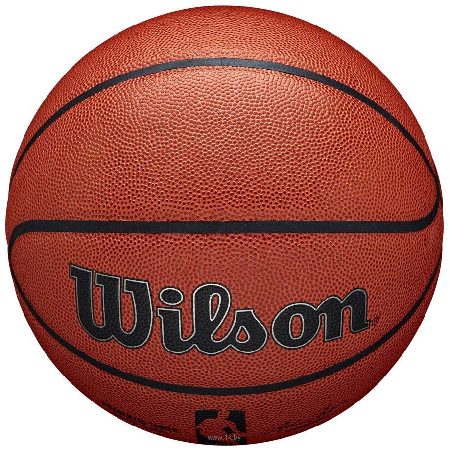 Фотографии Wilson NBA Authentic Indoor/Outdoor WTB7200XB07 (7 размер)