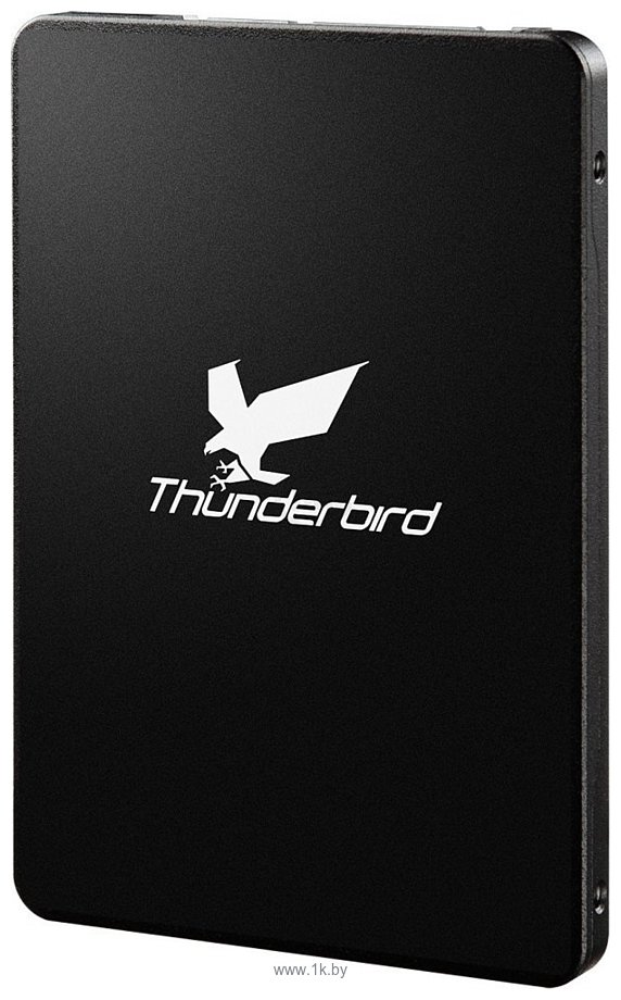 Фотографии Apacer Thunderbird AST680S 480GB (AP480GAST680S)