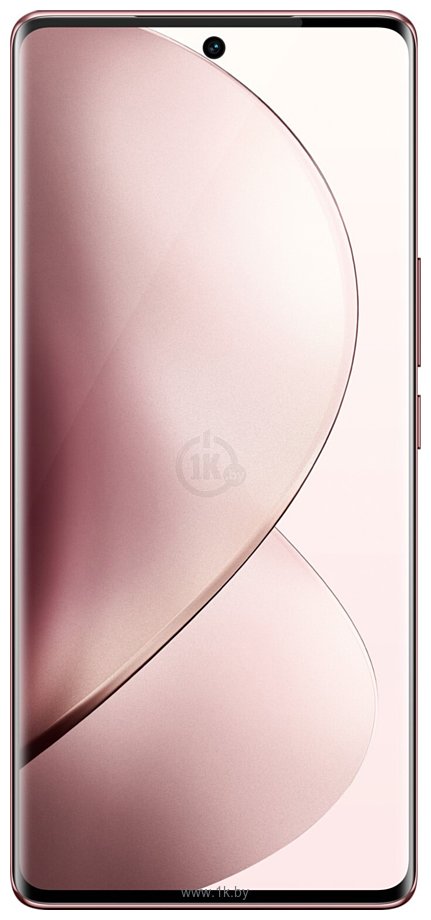 Фотографии Vivo V29 12/256GB (международная версия)