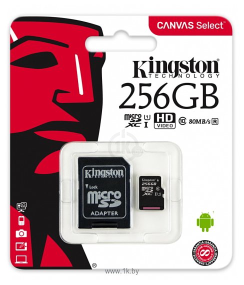 Фотографии Kingston Canvas Select microSDXC Class 10 UHS-I U1 256GB + SD adapter (SDCS/256GB)