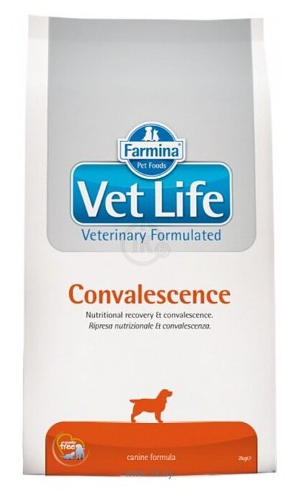 Фотографии Farmina Vet Life Canine Convalescence (2 кг)