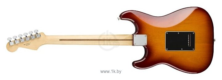 Фотографии Fender Player Stratocaster HSH