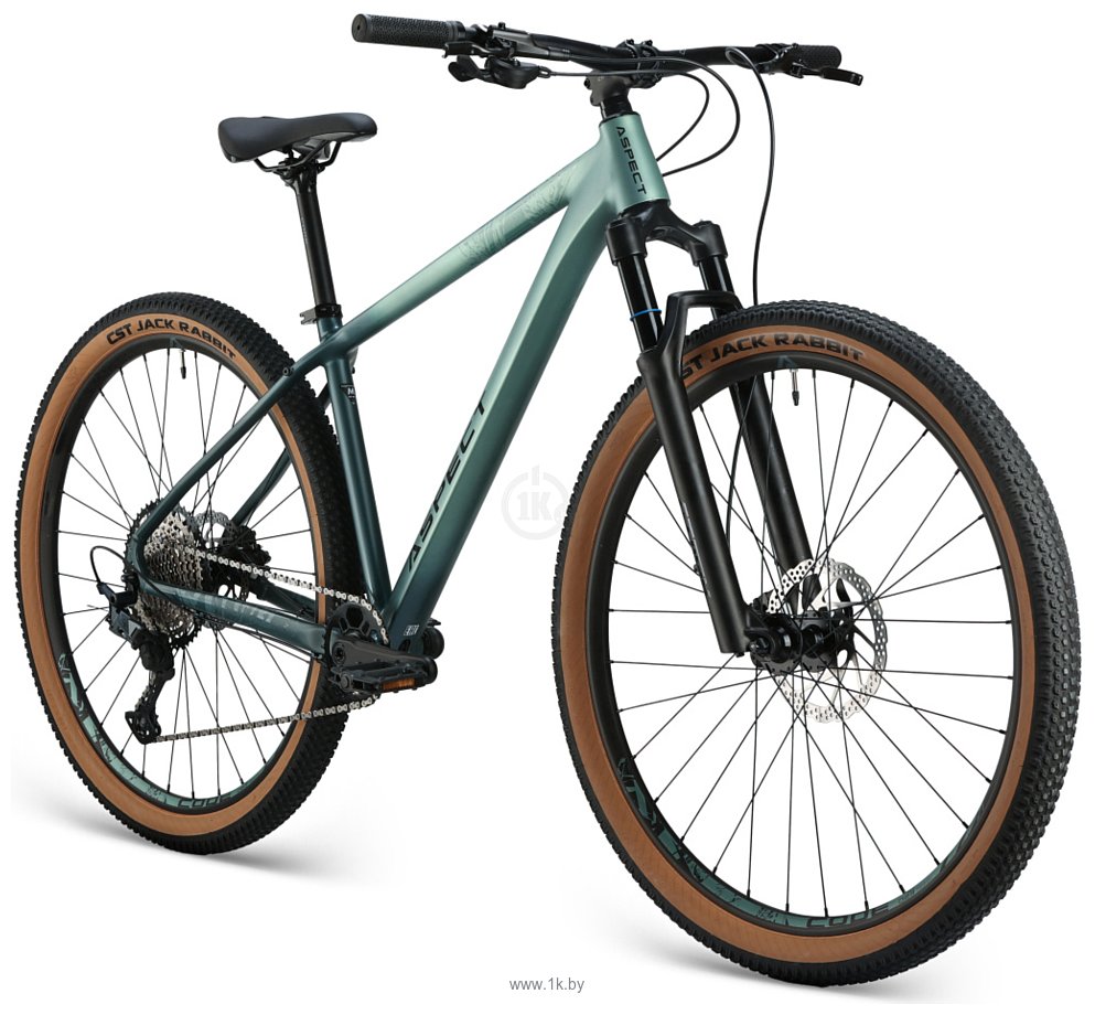 Фотографии Aspect Air Expert 29 (2025)