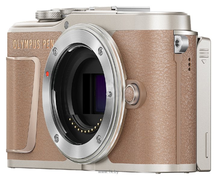 Фотографии Olympus Pen E-PL10 Body