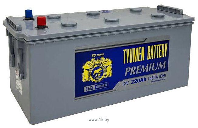 Фотографии Tyumen Battery Premium (220Ah)