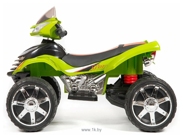 Фотографии Electric Toys Quad Pro Lux (зеленый)