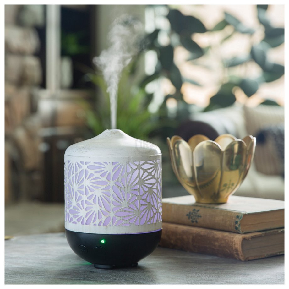 Фотографии Candle Warmers Champagne Palmette