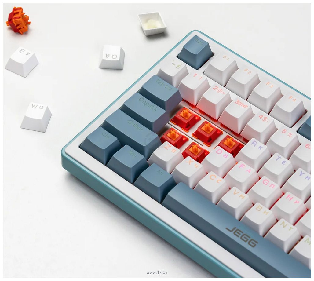Фотографии JEGG ZA82 White Navy Blue OUTEMU orange