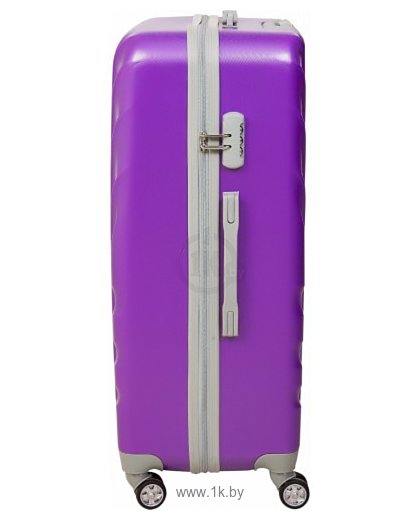 Фотографии Sun Voyage Palm Violet SV008-AF078 77 см