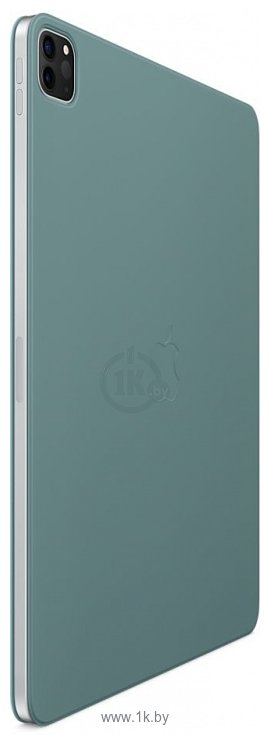 Фотографии Apple Folio для iPad Pro 11 (дикий кактус)