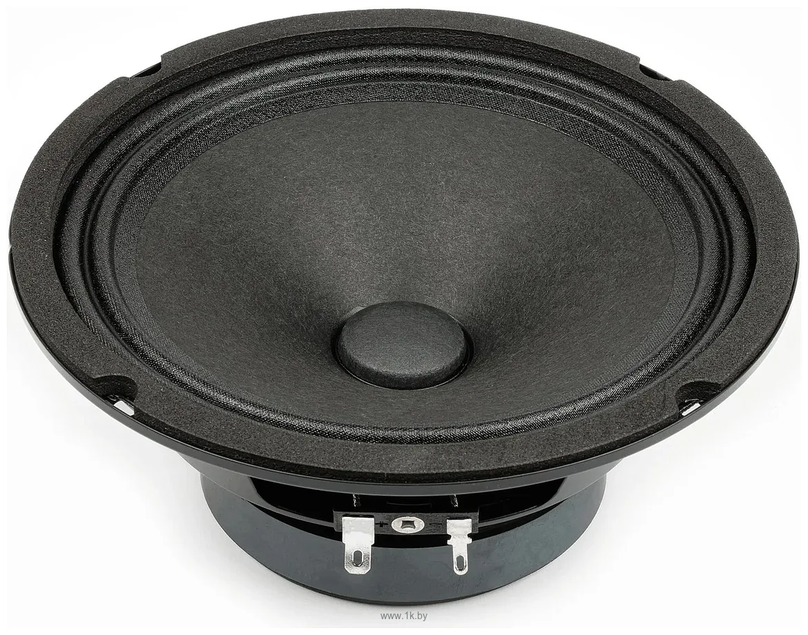 Фотографии Prology SPL 165 Kraken Фотографии Prology SPL 165 Kraken