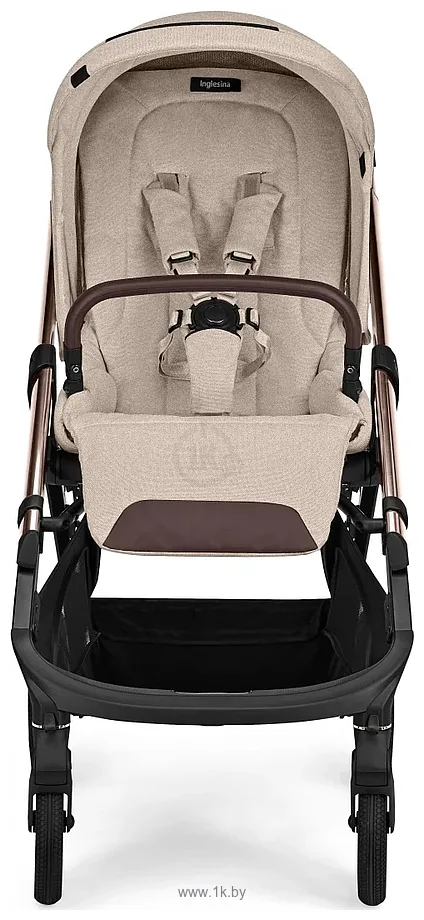 Фотографии Inglesina Aptica New